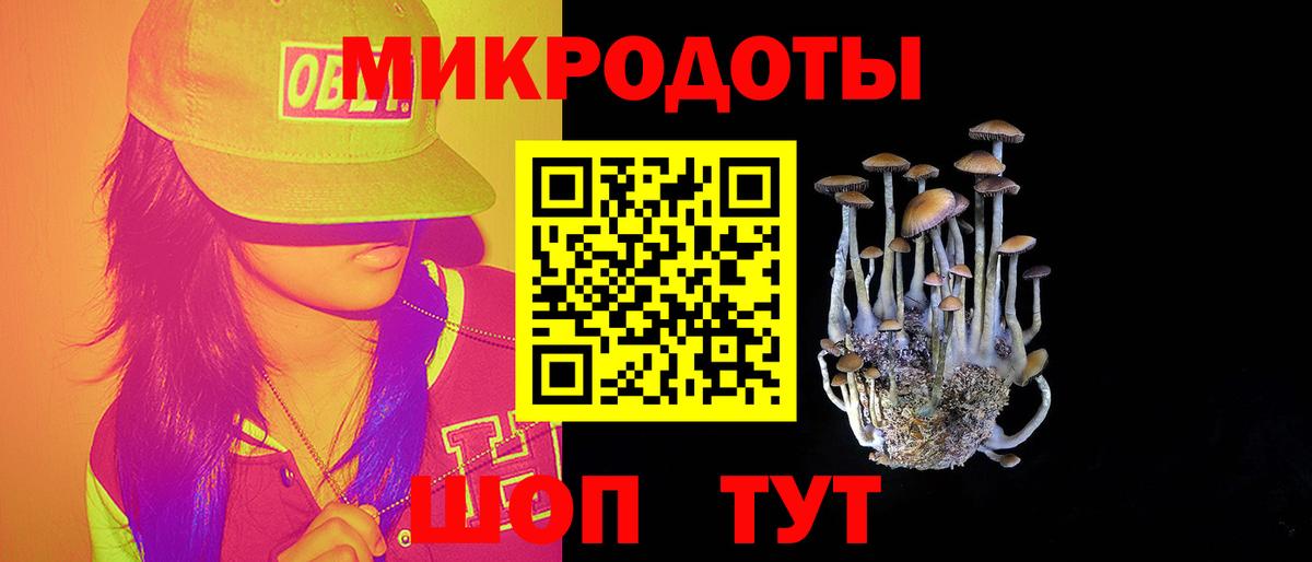 Галлюциногенные грибы мухоморы Октябрьский